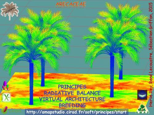 PRINCIPES virtual architecture & Archimed radiative balance to help breeding