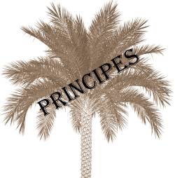  PRINCIPES 