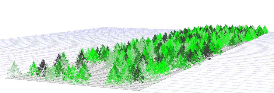 500-trees-on-5-ha-with-different-rotations-backed-by-a-single-file.png