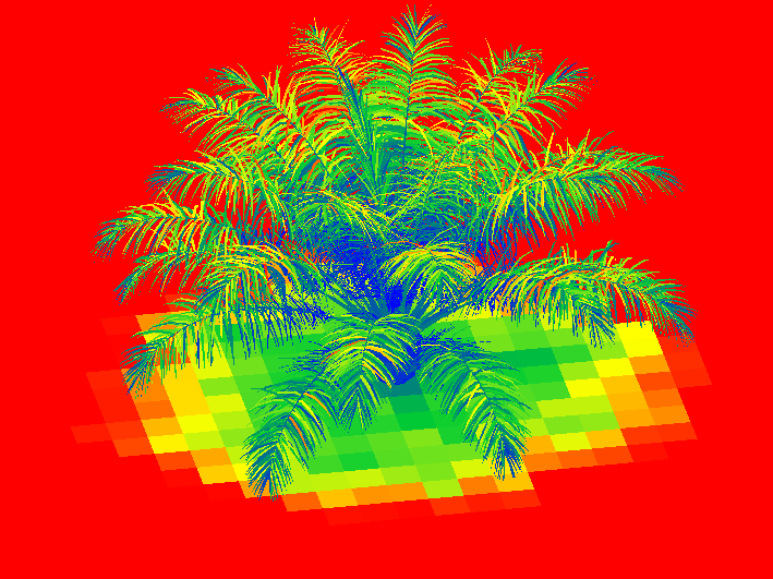palm-colors-zoom.png