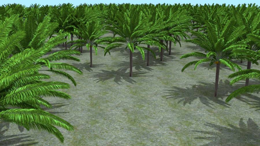 palmforestnoblend.jpg