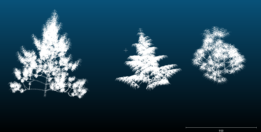 simeopointcloud-3trees-res20cm-802000points.png